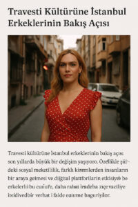Read more about the article Travesti Kültürüne İstanbul Erkeklerinin Bakış Açısı